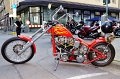 Harley PartyII 2010   129